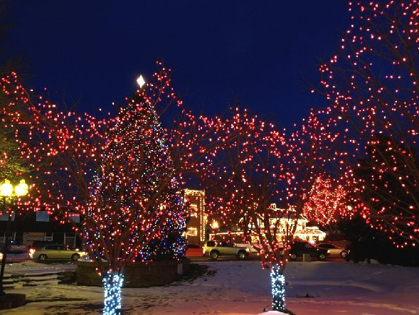 Beautiful Park Christmas Lights