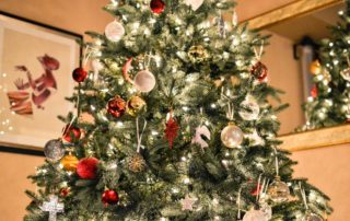 Christmas Lights and Decorations on Tree