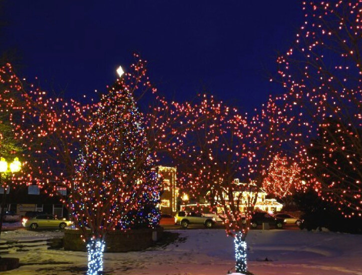 Christmas Lights on Trees